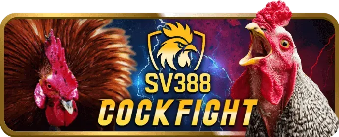 Hình ảnh giải đấu VIP độc quyền của bm66 nhà cái