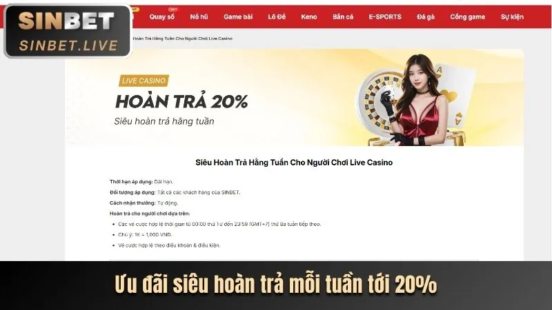 Thu thập thông tin phi cá nhân để cải thiện dịch vụ